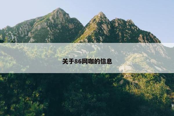 关于86网咖的信息