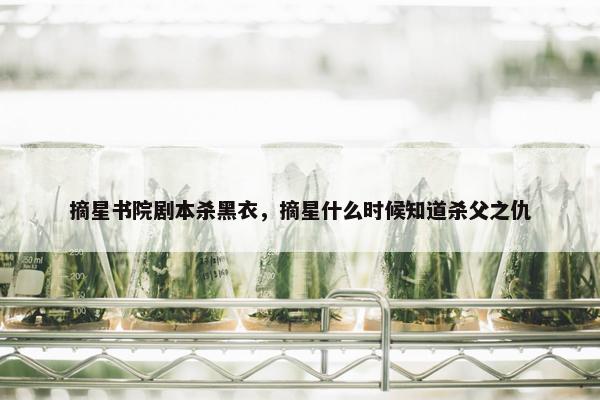 摘星书院剧本杀黑衣，摘星什么时候知道杀父之仇
