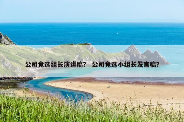 公司竞选组长演讲稿？ 公司竞选小组长发言稿？