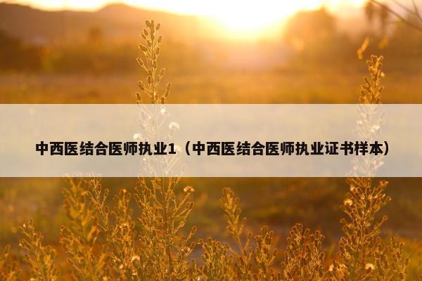 中西医结合医师执业1（中西医结合医师执业证书样本）