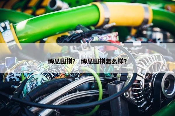 博思围棋？ 博思围棋怎么样？