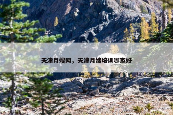 天津月嫂网，天津月嫂培训哪家好