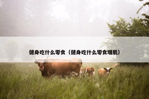 健身吃什么零食（健身吃什么零食增肌）