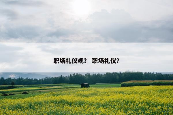 职场礼仪观？ 职场礼仪？