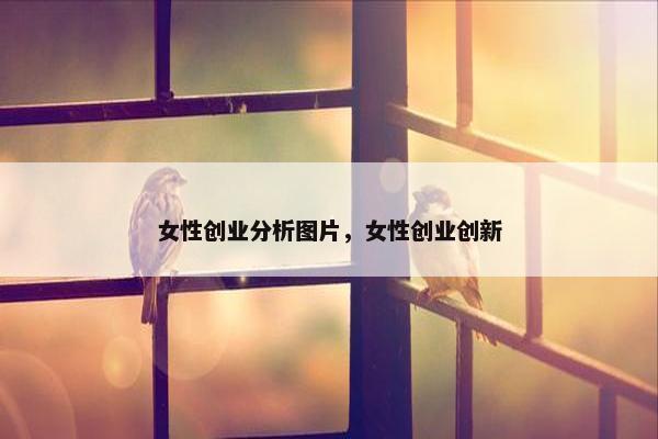 女性创业分析图片，女性创业创新