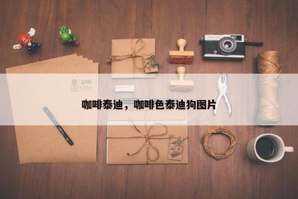咖啡泰迪，咖啡色泰迪狗图片