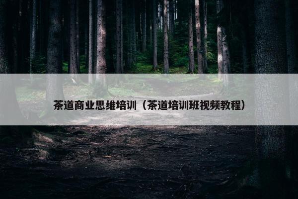 茶道商业思维培训（茶道培训班视频教程）