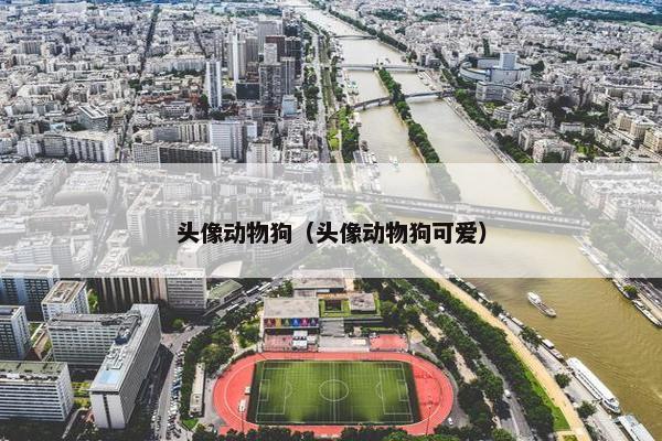 头像动物狗（头像动物狗可爱）