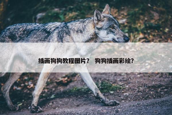 插画狗狗教程图片？ 狗狗插画彩绘？