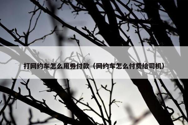 打网约车怎么用券付款（网约车怎么付费给司机）
