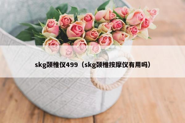 skg颈椎仪499（skg颈椎按摩仪有用吗）