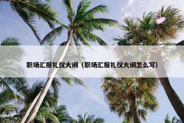 职场汇报礼仪大纲（职场汇报礼仪大纲怎么写）