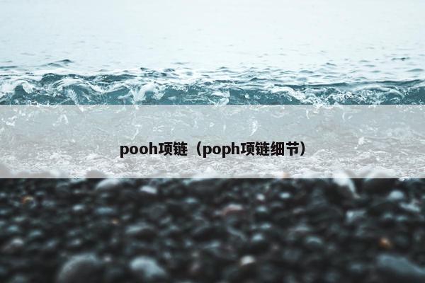 pooh项链（poph项链细节）