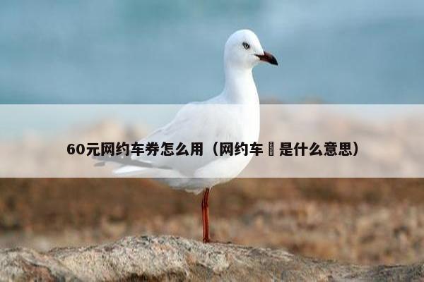60元网约车券怎么用（网约车劵是什么意思）