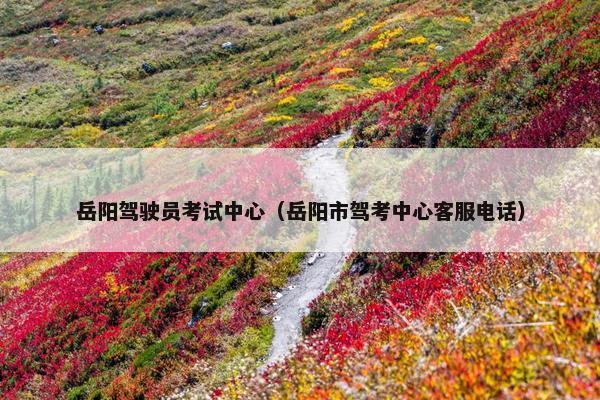 岳阳驾驶员考试中心（岳阳市驾考中心客服电话）