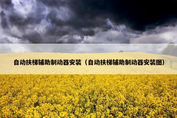 自动扶梯辅助制动器安装（自动扶梯辅助制动器安装图）