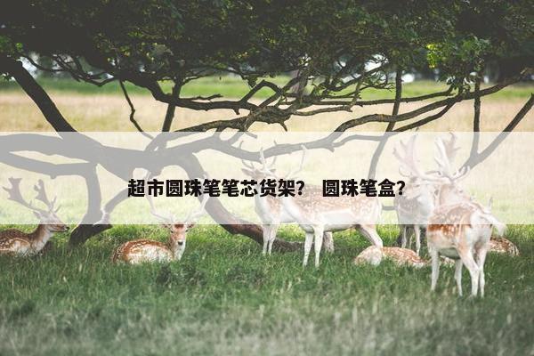 超市圆珠笔笔芯货架？ 圆珠笔盒？