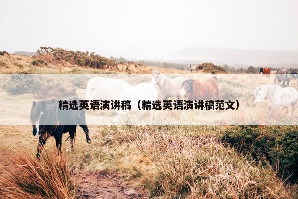 精选英语演讲稿（精选英语演讲稿范文）