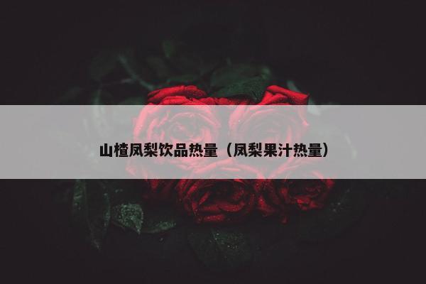 山楂凤梨饮品热量（凤梨果汁热量）
