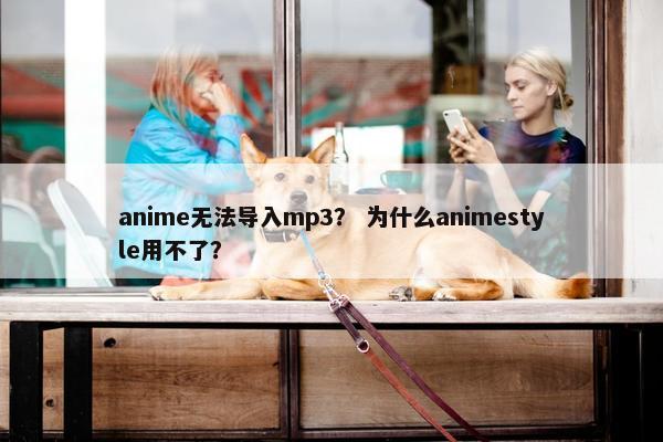 anime无法导入mp3？ 为什么animestyle用不了？