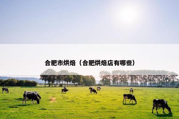 合肥市烘焙（合肥烘焙店有哪些）