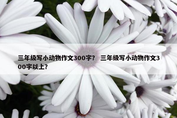 三年级写小动物作文300字？ 三年级写小动物作文300字以上？