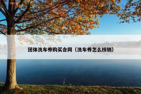 团体洗车券购买合同（洗车券怎么核销）