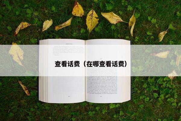 查看话费（在哪查看话费）