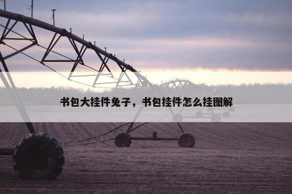 书包大挂件兔子，书包挂件怎么挂图解