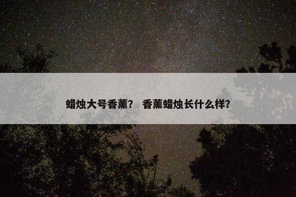 蜡烛大号香薰？ 香薰蜡烛长什么样？