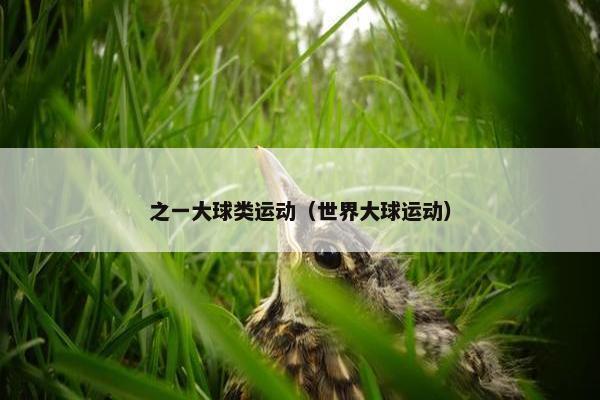之一大球类运动（世界大球运动）