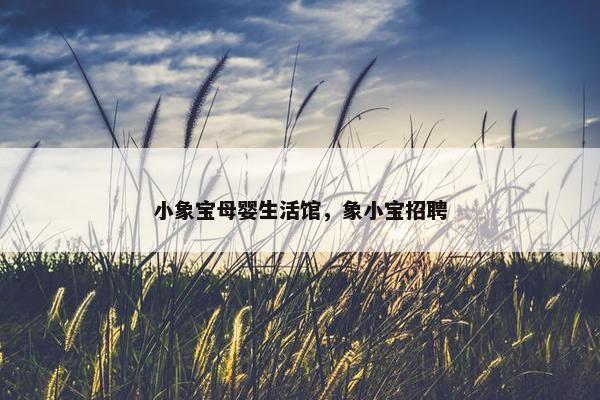 小象宝母婴生活馆，象小宝招聘