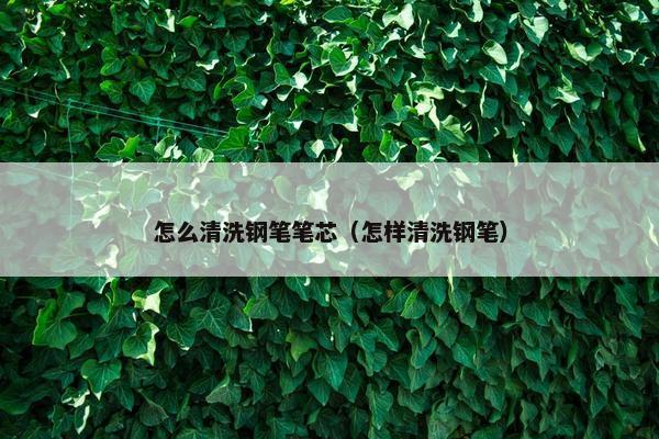 怎么清洗钢笔笔芯（怎样清洗钢笔）