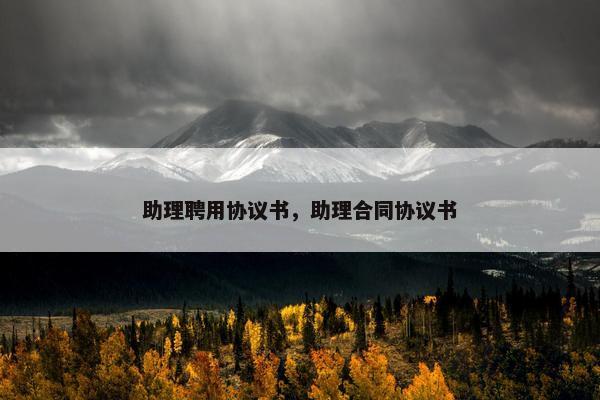 助理聘用协议书，助理合同协议书