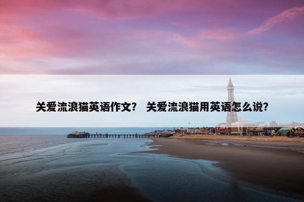 关爱流浪猫英语作文？ 关爱流浪猫用英语怎么说？