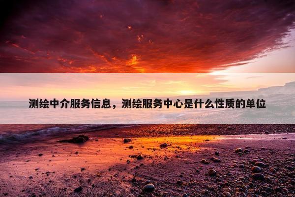 测绘中介服务信息，测绘服务中心是什么性质的单位