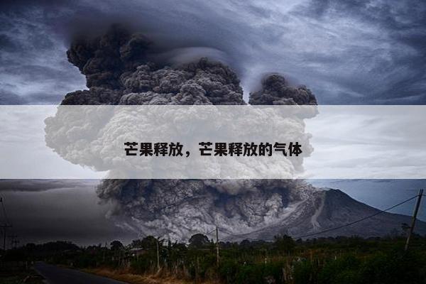 芒果释放，芒果释放的气体