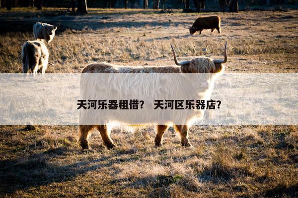 天河乐器租借？ 天河区乐器店？
