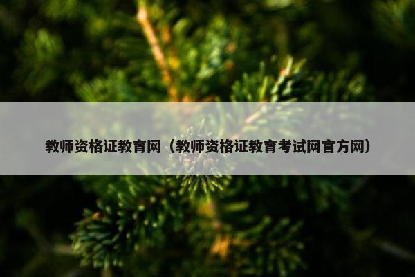 教师资格证教育网（教师资格证教育考试网官方网）