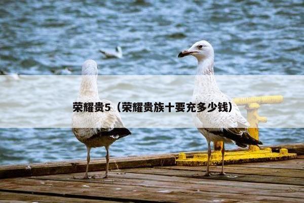 荣耀贵5（荣耀贵族十要充多少钱）