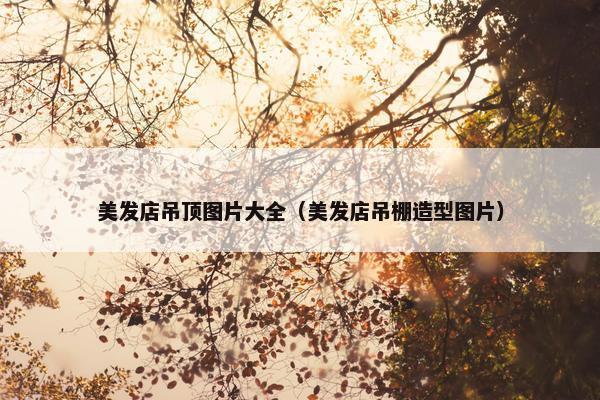 美发店吊顶图片大全（美发店吊棚造型图片）