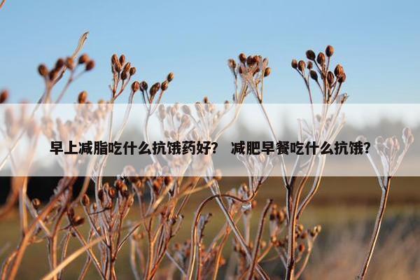 早上减脂吃什么抗饿药好？ 减肥早餐吃什么抗饿？