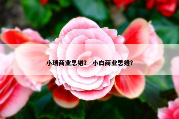 小瑞商业思维？ 小白商业思维？