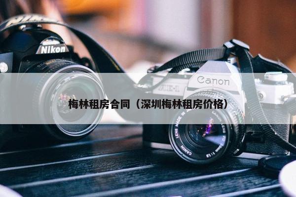 梅林租房合同（深圳梅林租房价格）