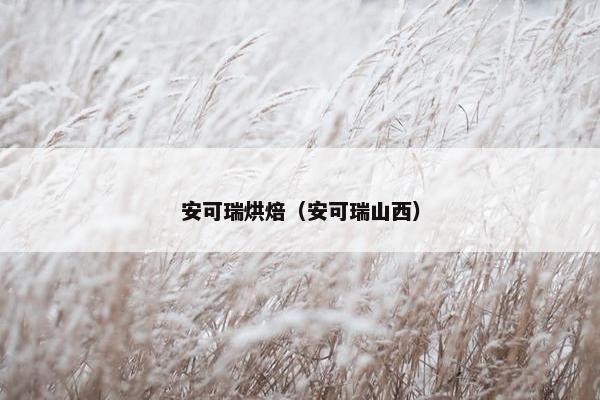 安可瑞烘焙（安可瑞山西）