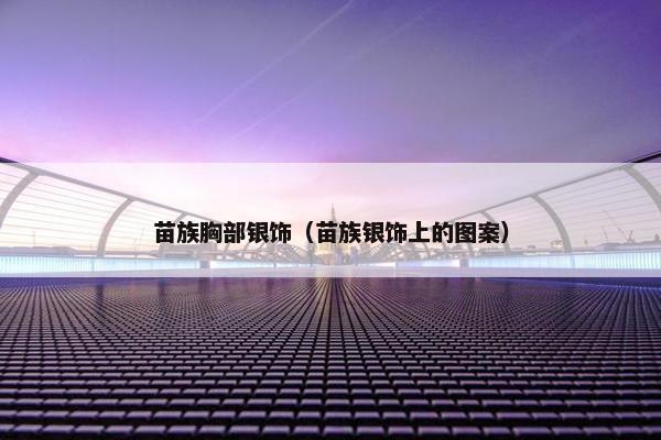 苗族胸部银饰（苗族银饰上的图案）