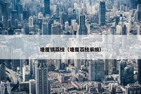 塘厦镇荔枝（塘厦荔枝采摘）