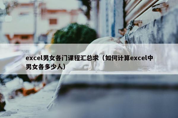 excel男女各门课程汇总求（如何计算excel中男女各多少人）