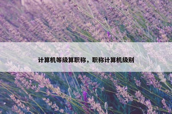 计算机等级算职称，职称计算机级别