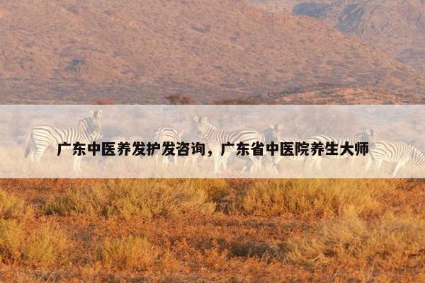 广东中医养发护发咨询，广东省中医院养生大师